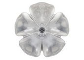 Starlettos protectors - crystal