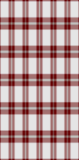 Pretty in Plaid - Windowpane
