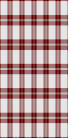 Pretty in Plaid - Windowpane